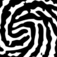 Biometric Update logo